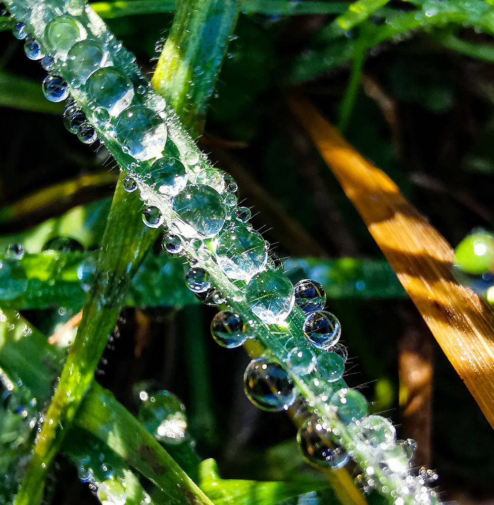 Photograph by Natalya  Podymahina