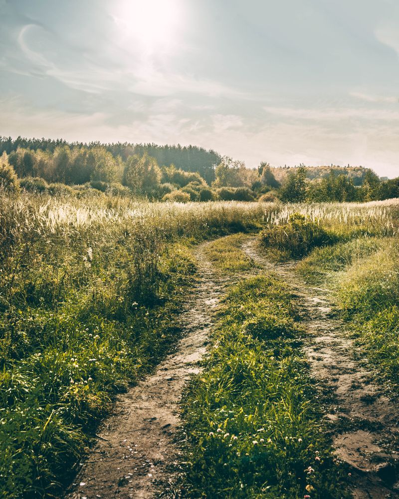 Летний денёк