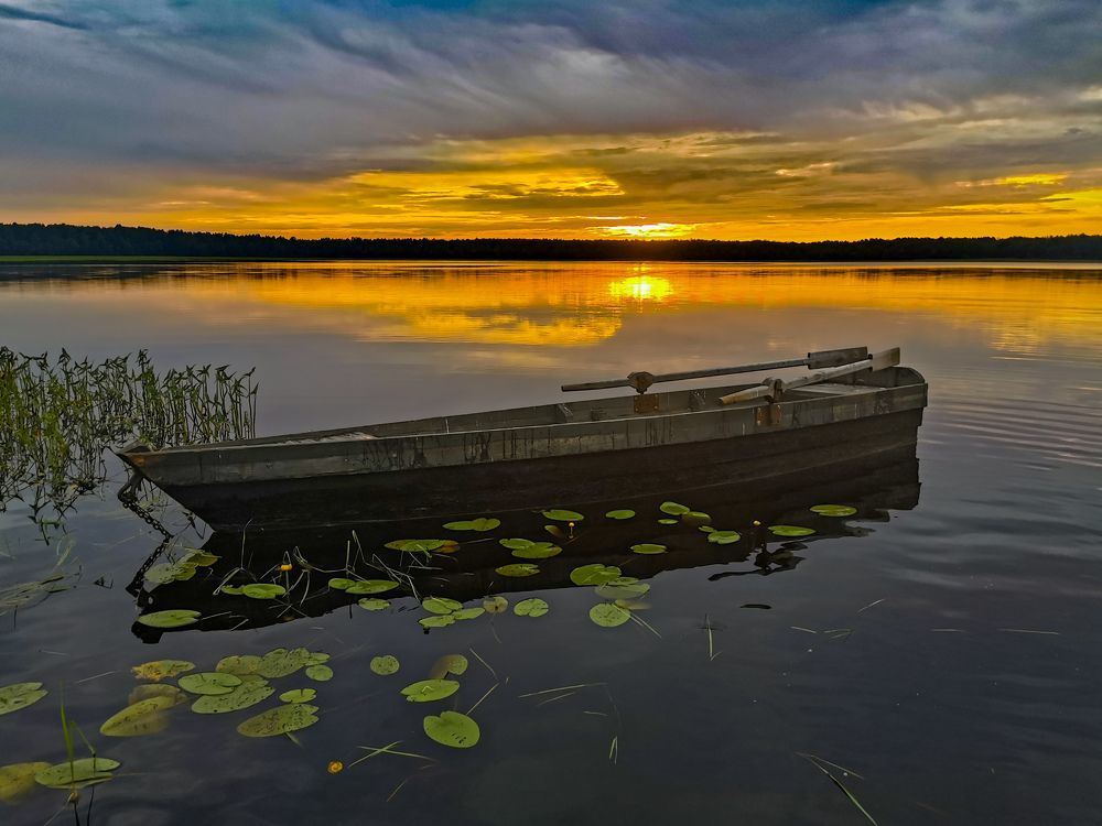 Photograph by Natalya  Podymahina