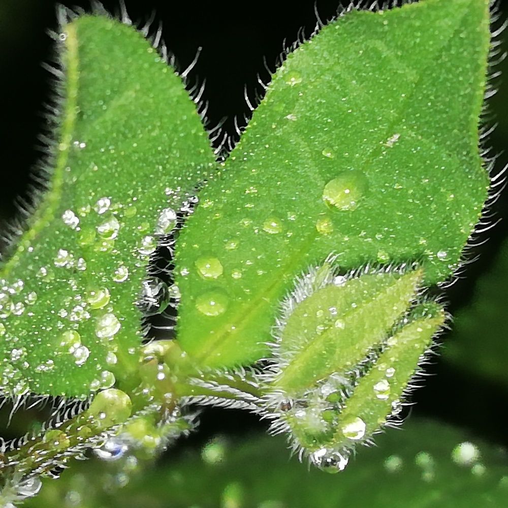 Photograph by Жанерке Хайбулда