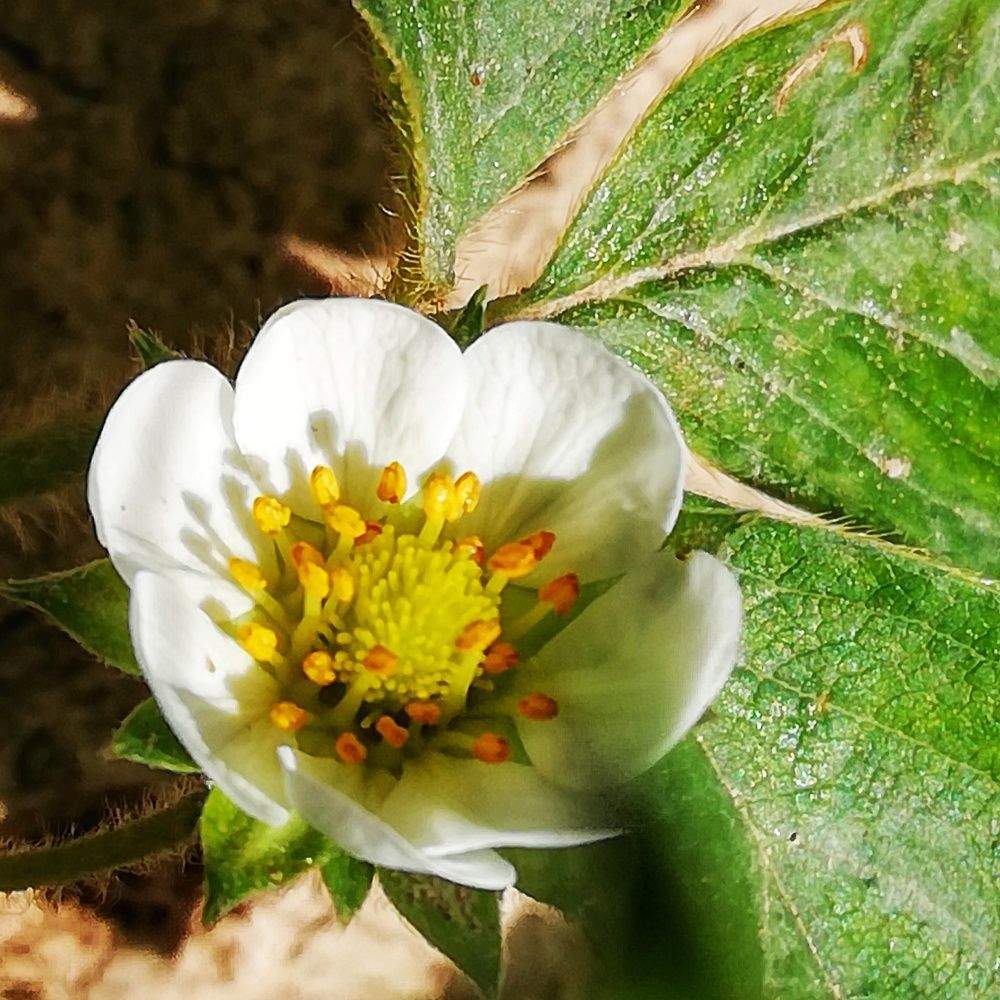 Photograph by Жанерке Хайбулда