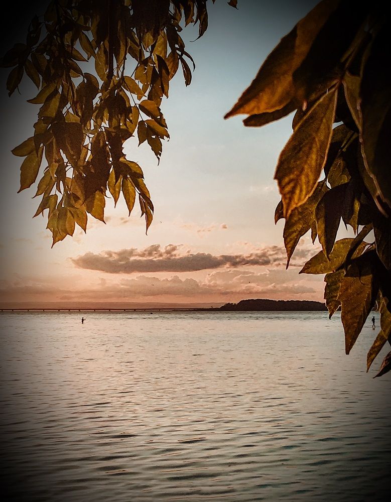 Photograph by Светлана Мейта