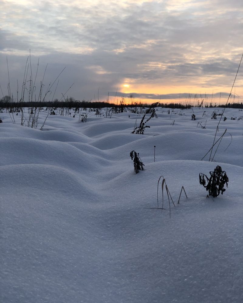 Photograph by Юлия Отставнова