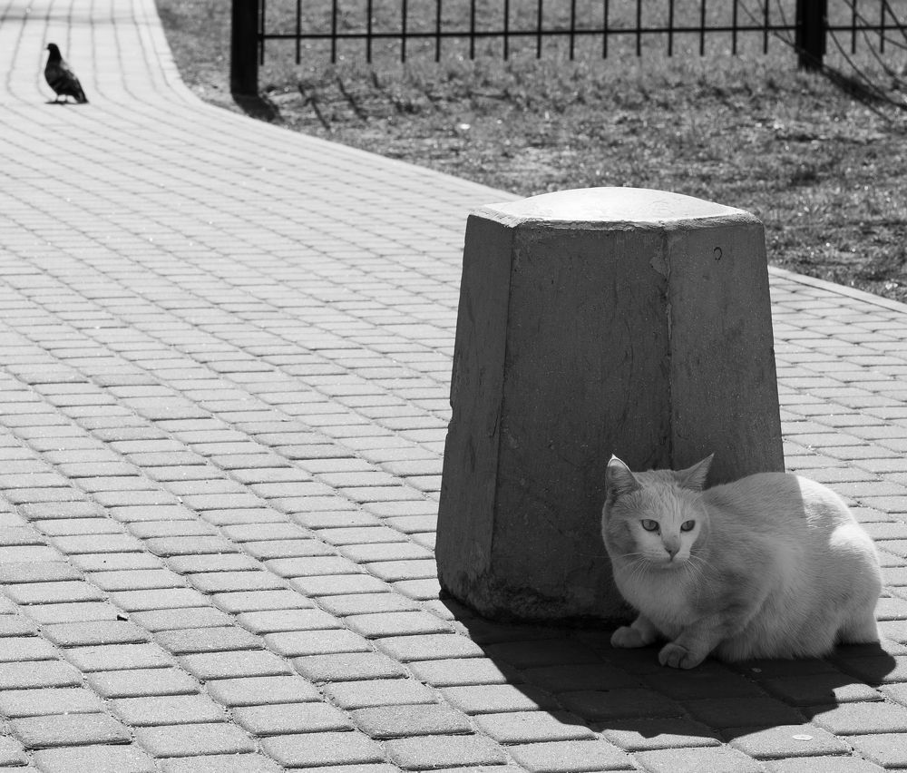 Photograph by Владислав Шаповалов