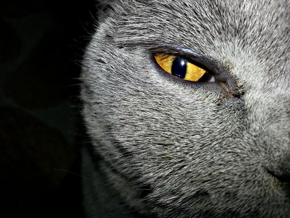 Photograph by Marcin Sokolowski - maarew