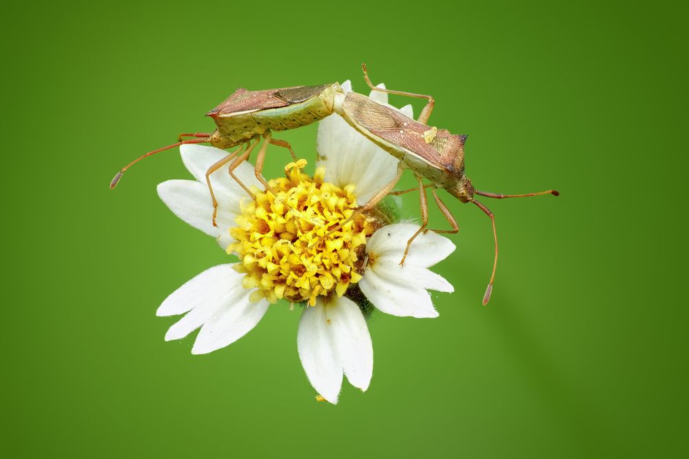 Фотография автора Tran Tuan