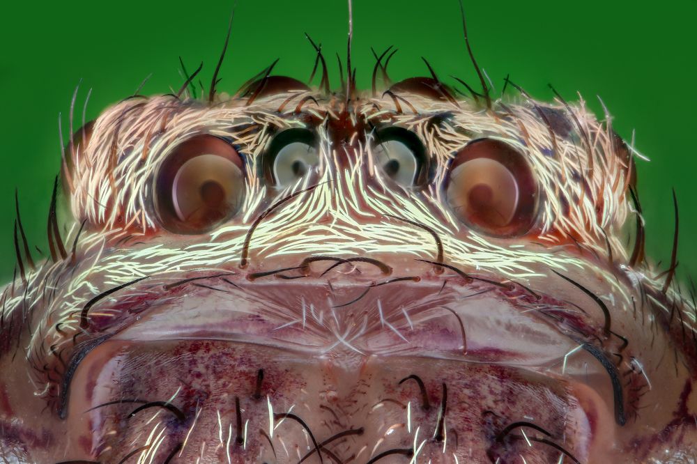 Фотография автора Tran Tuan