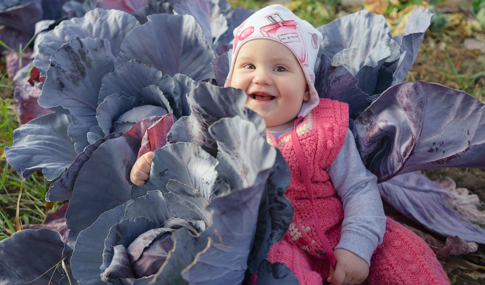 Photograph by Надежда