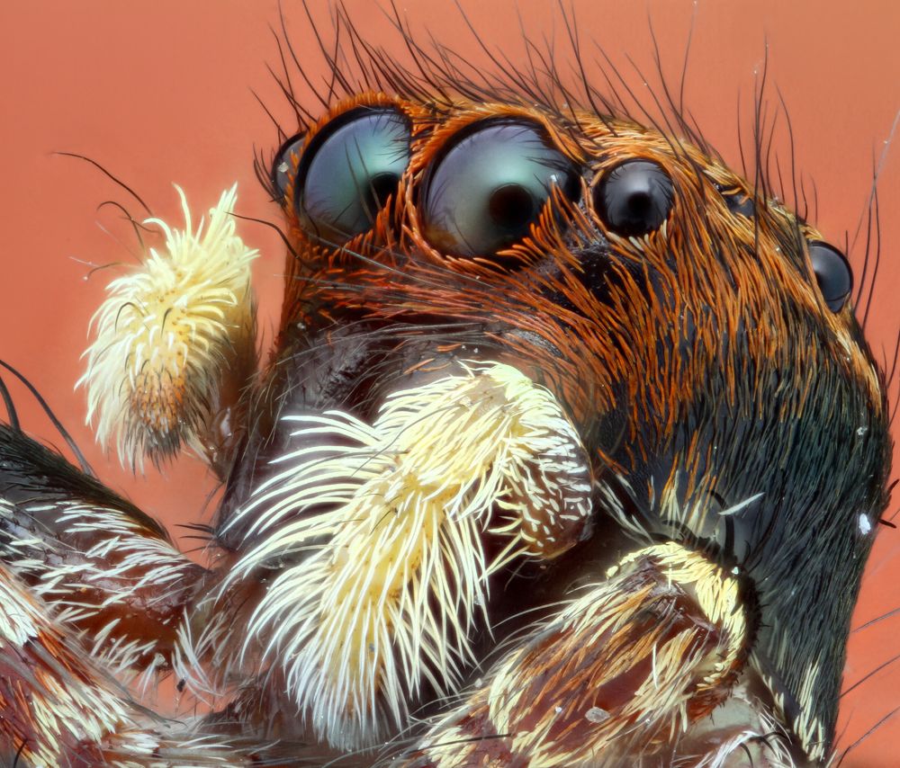 Фотография автора Tran Tuan