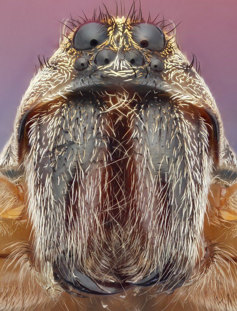 Фотография автора Tran Tuan