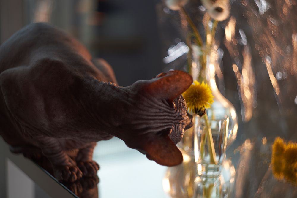 Photograph by Юлия Осипенко