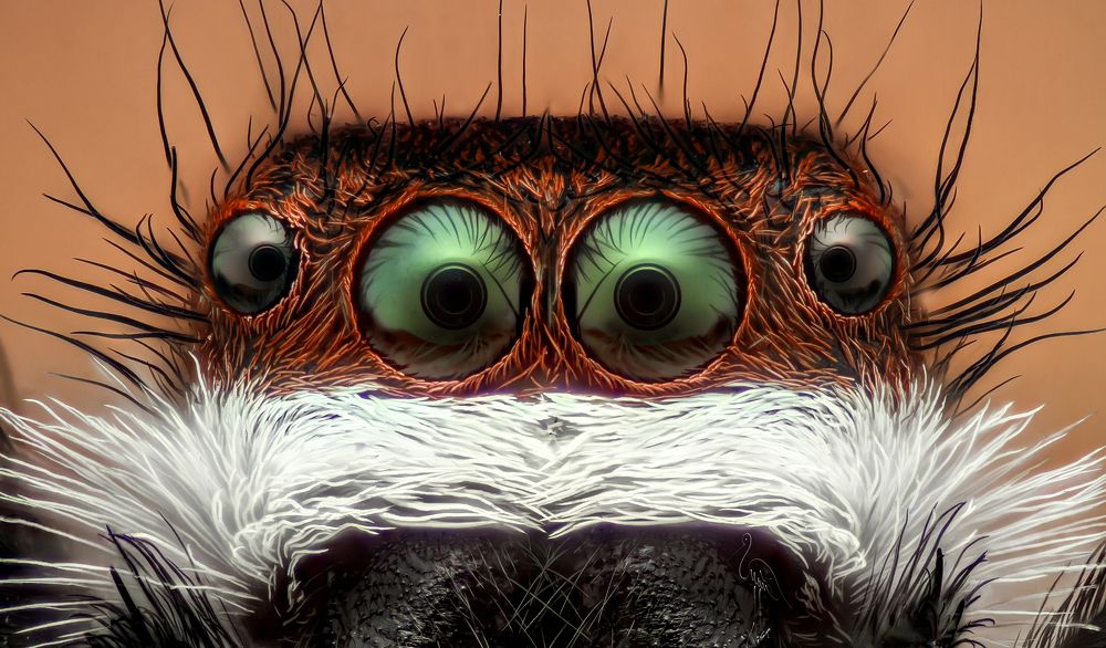 Photograph by Tran Anh Tuan