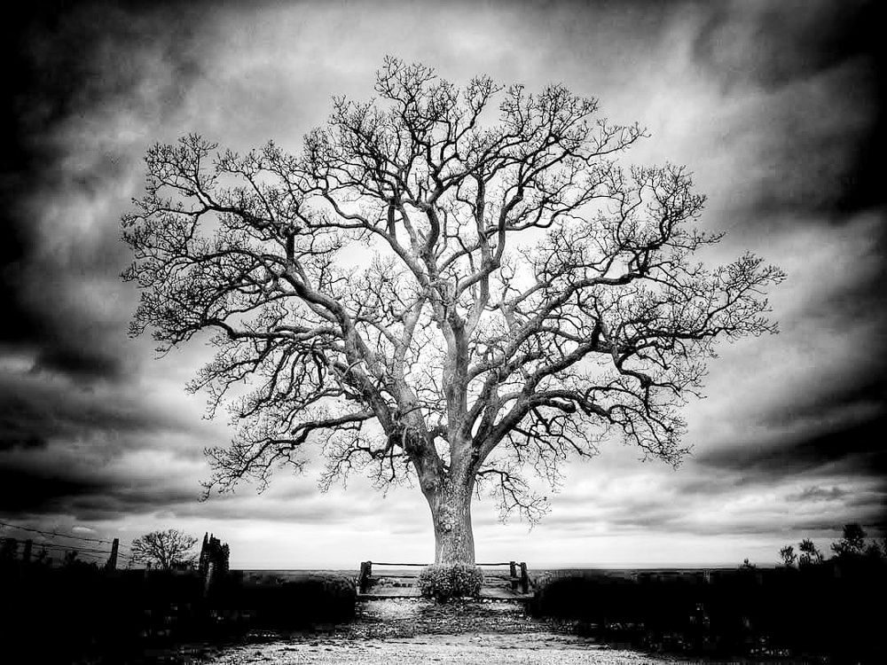 Photograph by Alessandro Calzolani