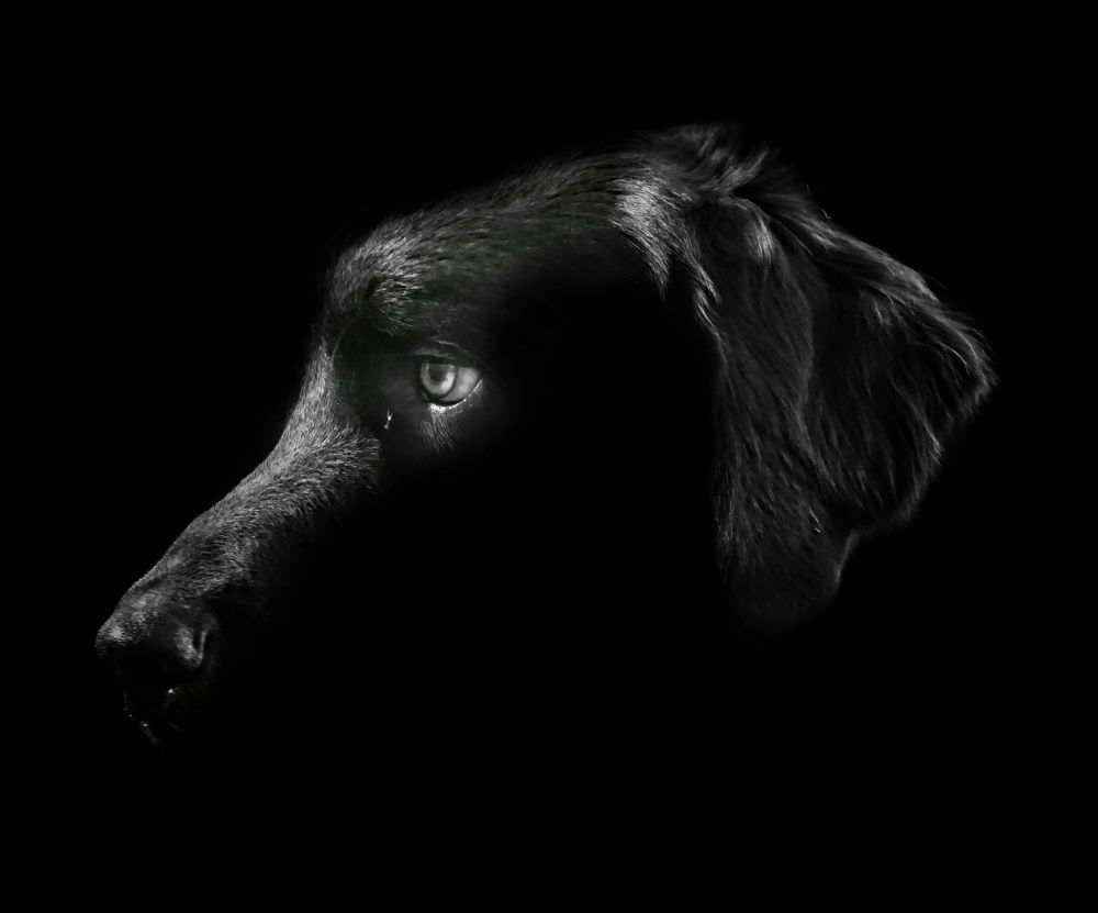 A portrait of a friend