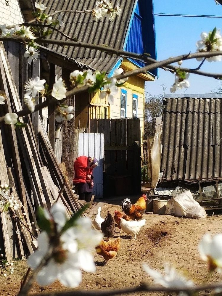 Почти одиночество