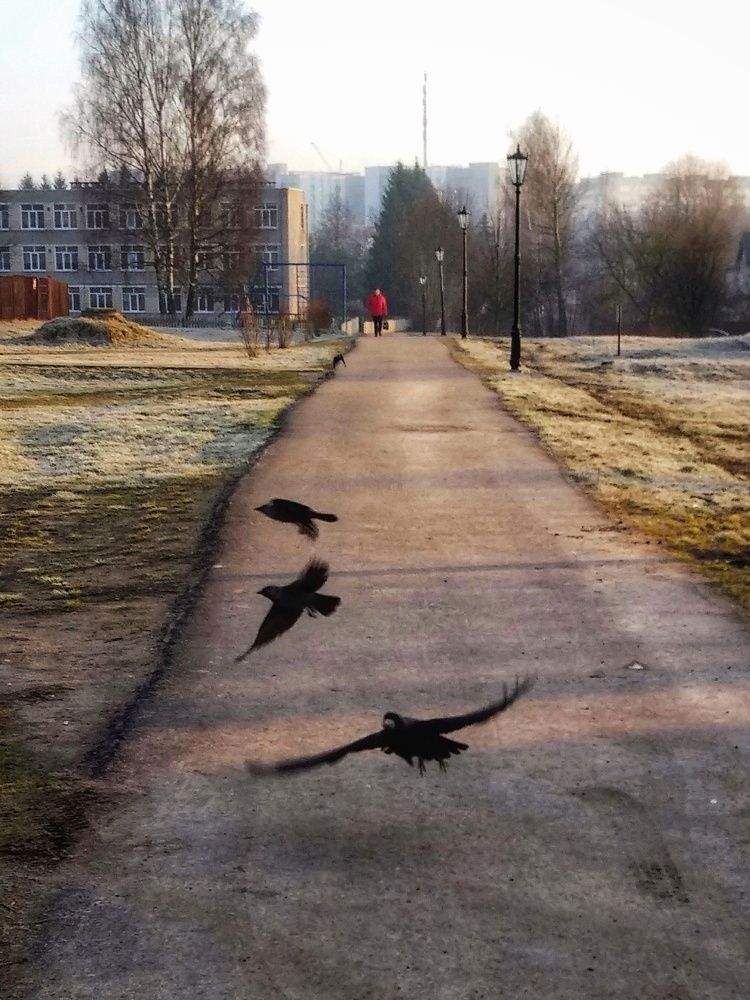 Город. Утро