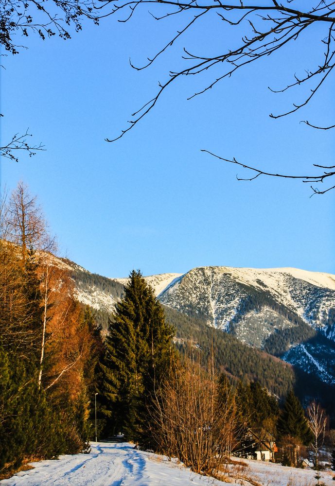 Photograph by Elizaveta Semenova