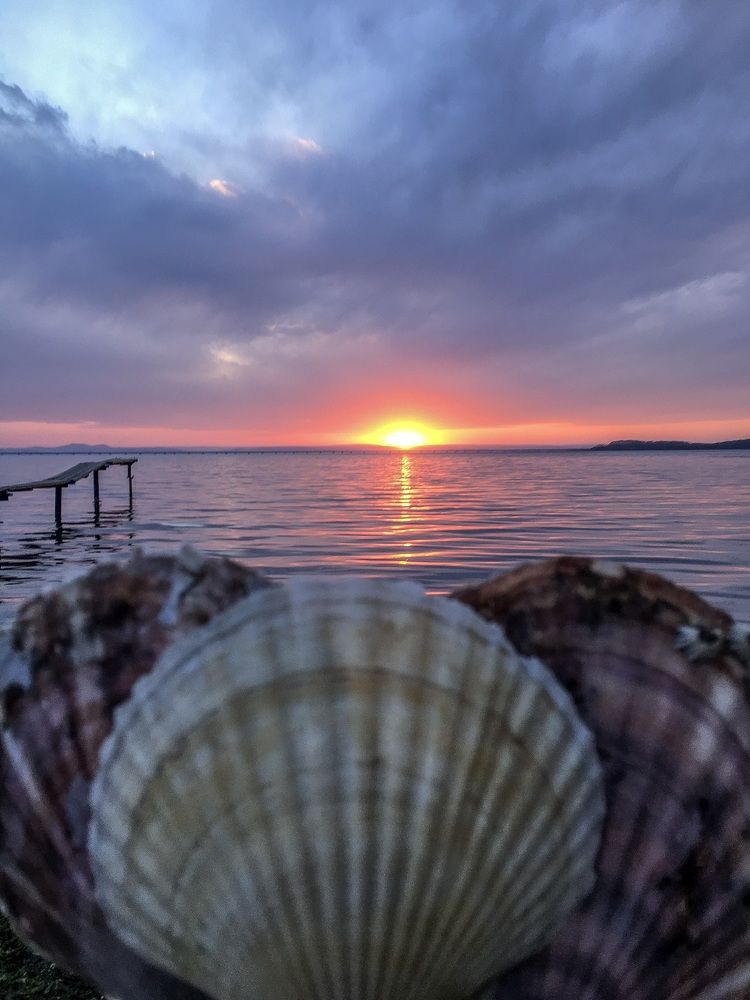 Photograph by Светлана Мейта