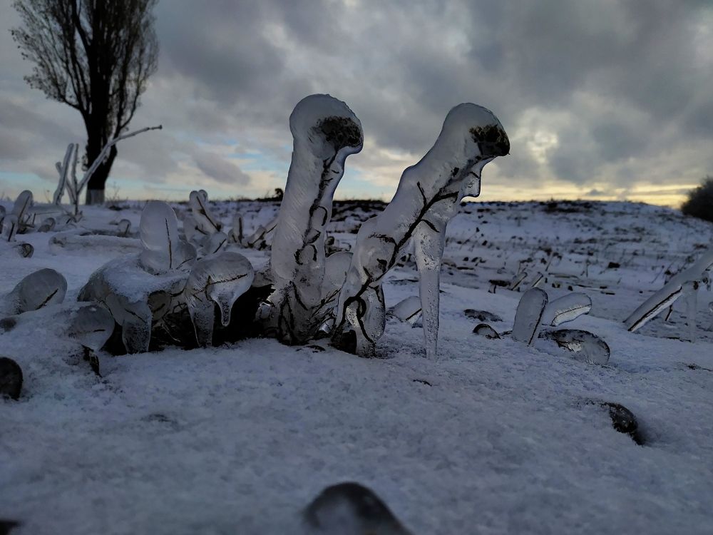 Photograph by Елена Деркач