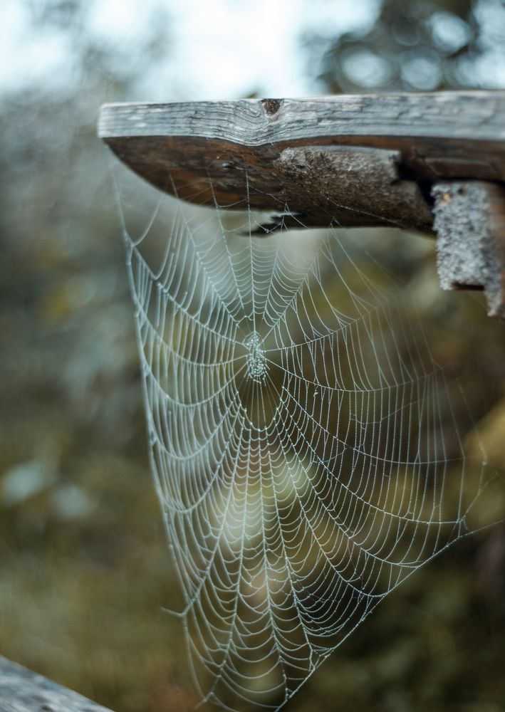 Фотография автора Евгений Вагуро