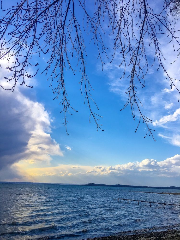 Photograph by Светлана Мейта