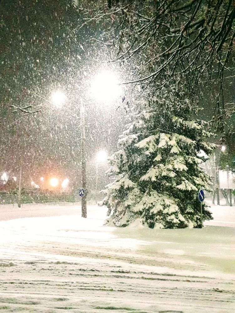 Photograph by Helen Seleznova