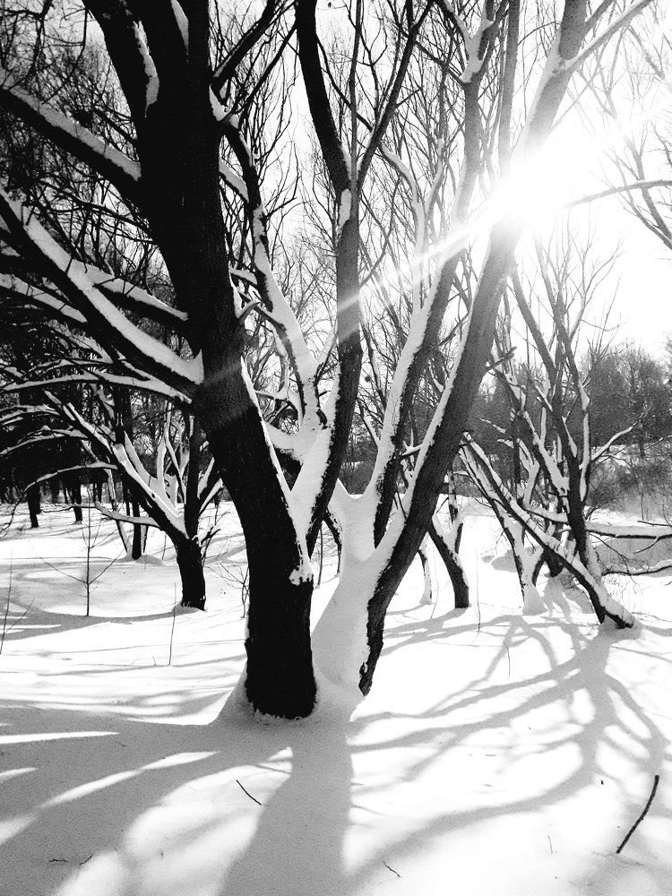 Photograph by Helen Seleznova