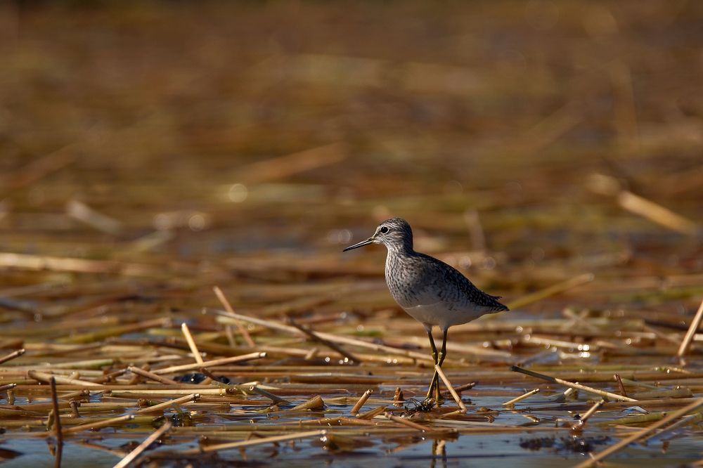 Photograph by Наталья