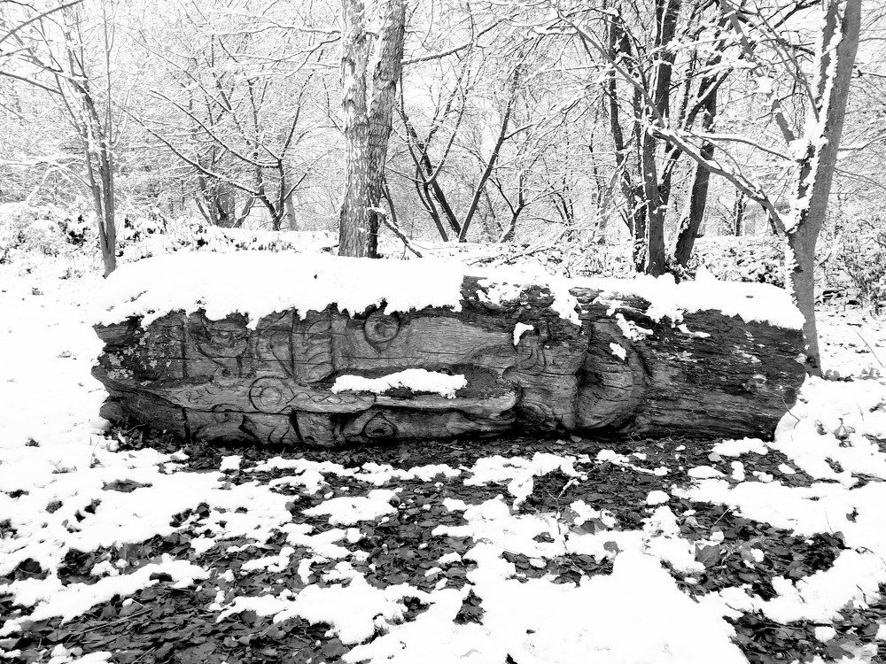 Photograph by Helen Seleznova