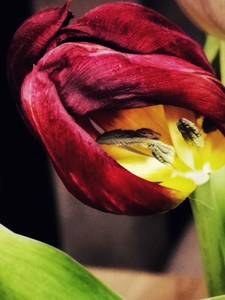 Photograph by Olga Asson