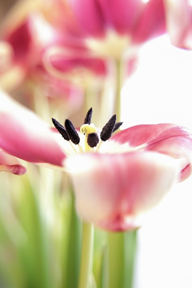 Photograph by Olga Asson