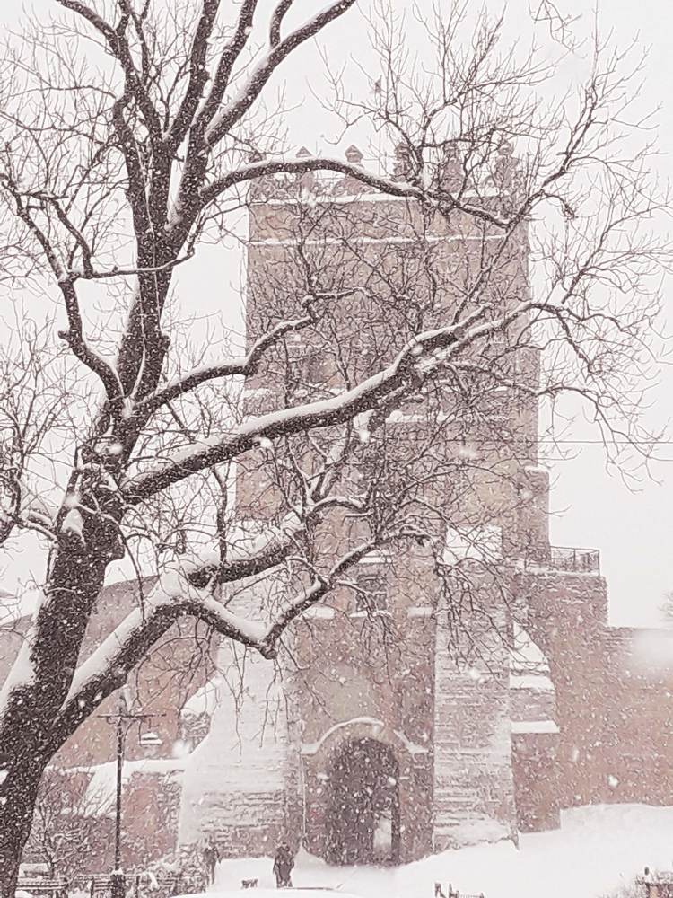 Photograph by Helen Seleznova