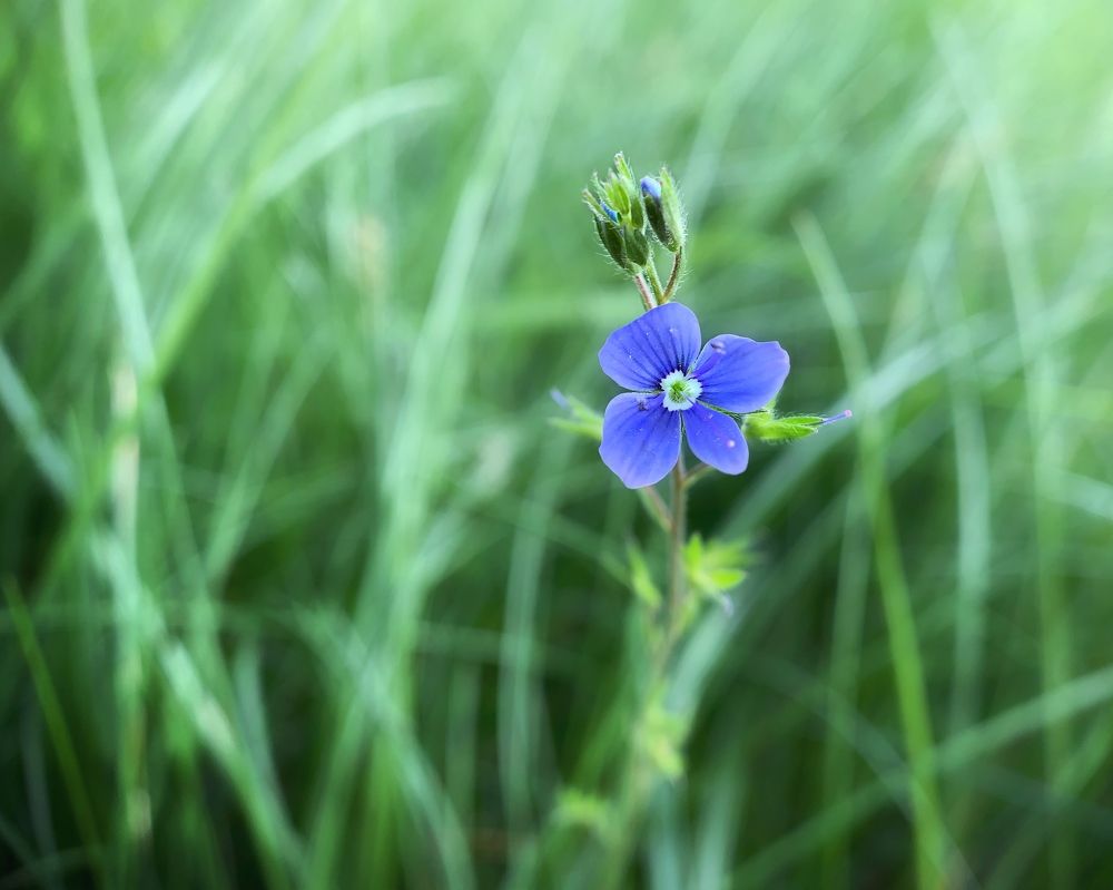 Photograph by Сергей Протасов