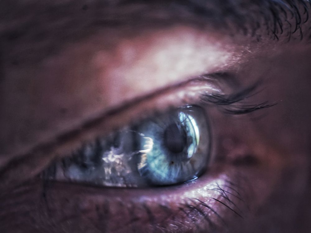 Photograph by Артем Зыкин