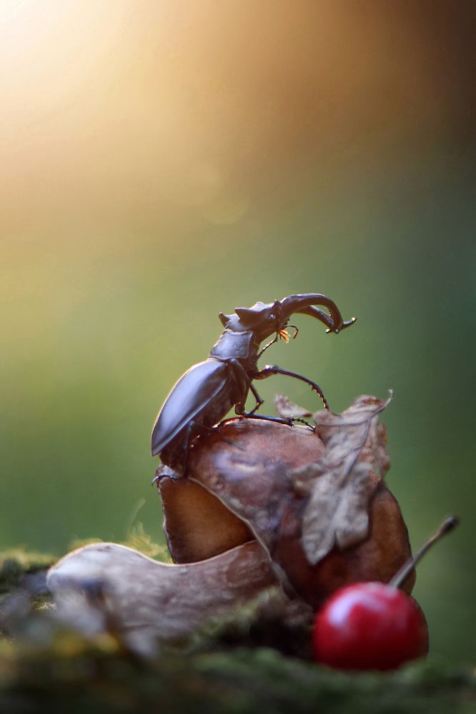 Photograph by Виктория Быканова