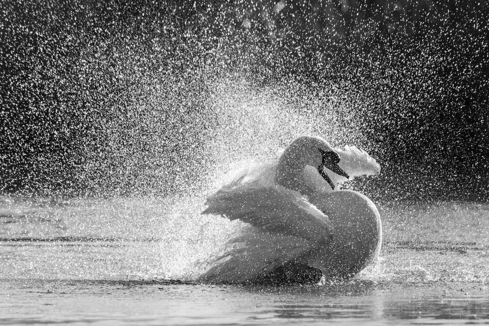 Photograph by Andrei Marian Gheorghe