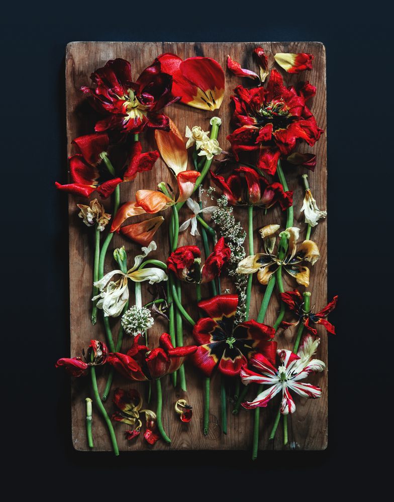 still life literally