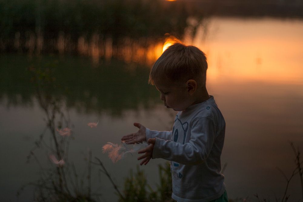 Куда приводят мечты