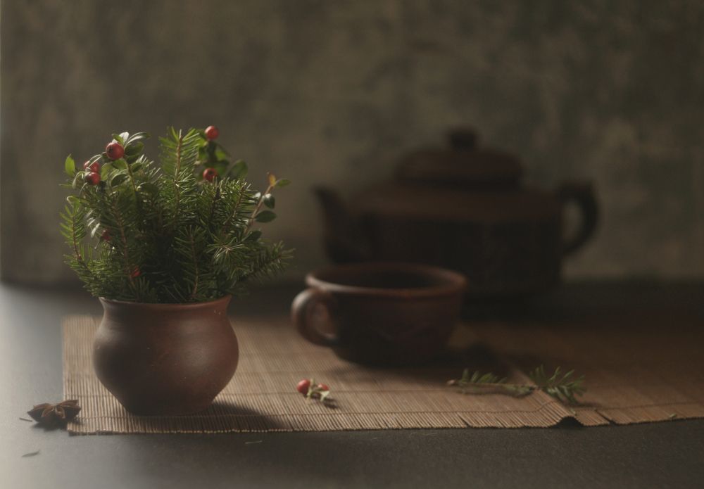 Photograph by Ирина Ямчицкая