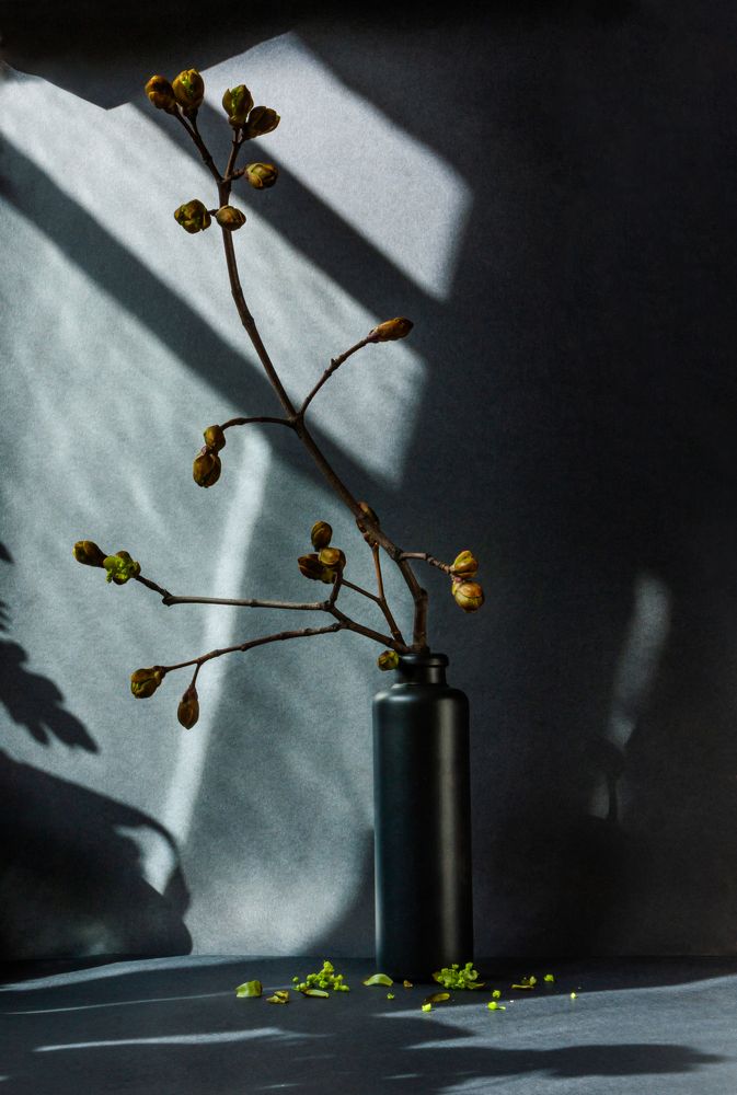 Photograph by Yulia Ivanova