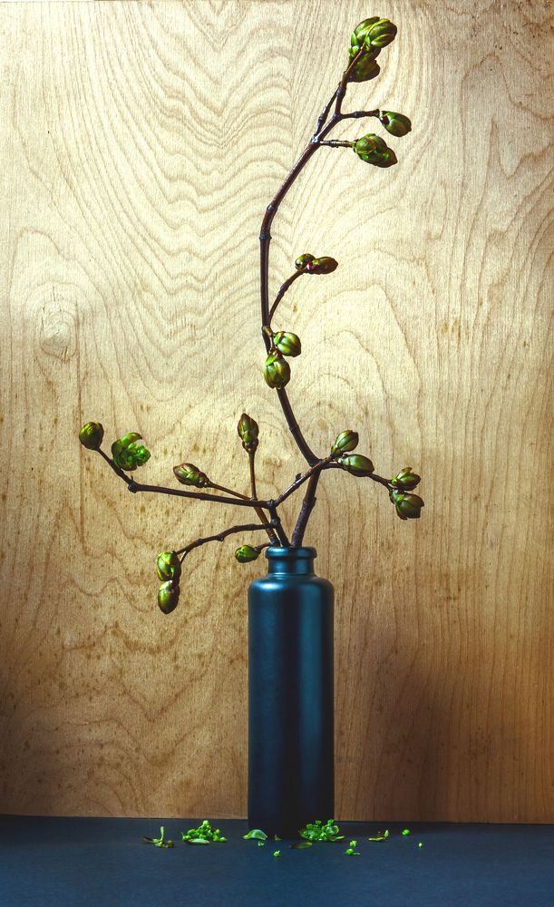 Photograph by Yulia Ivanova