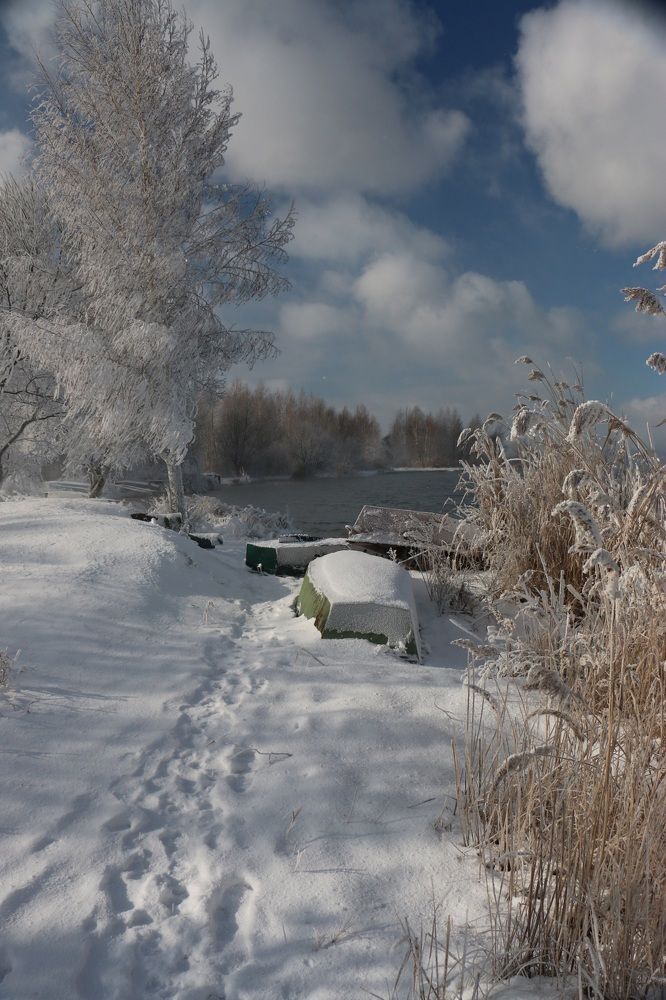 Зимний берег