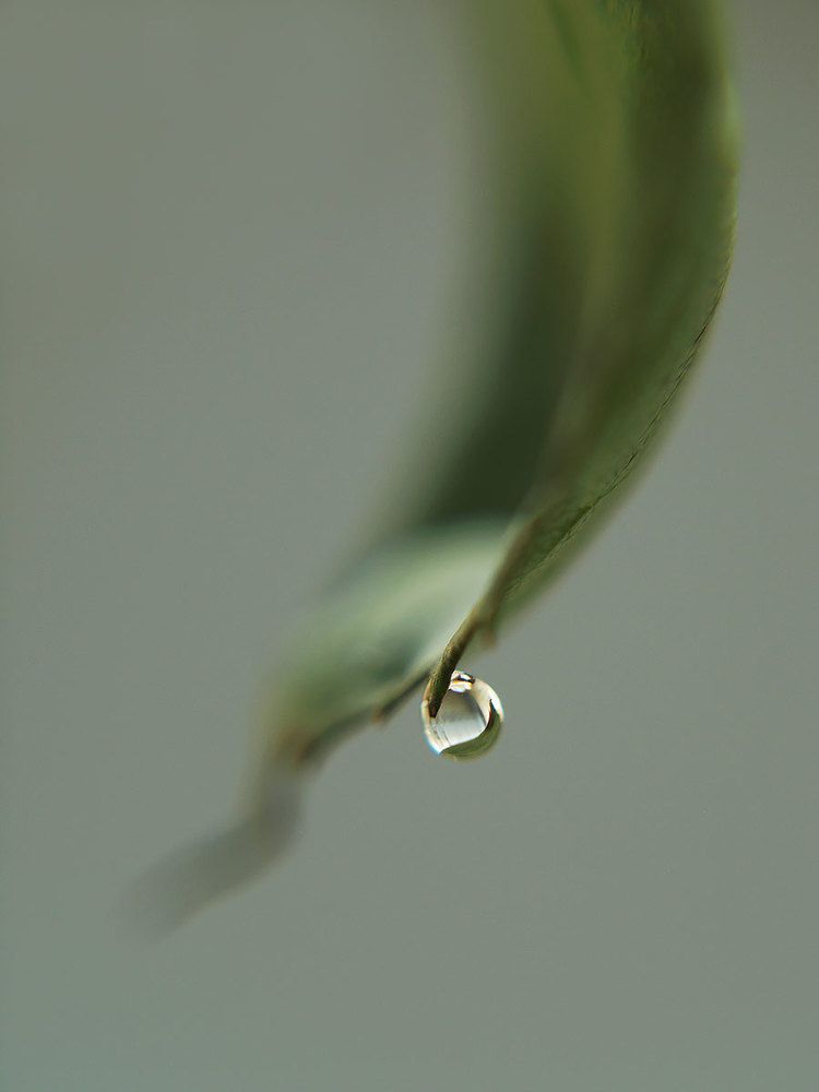 Photograph by Farid Ataei