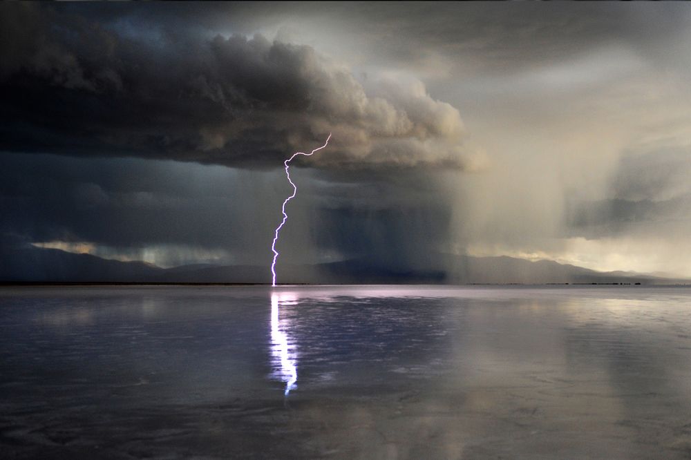 Photograph by SI SABER LOTFI