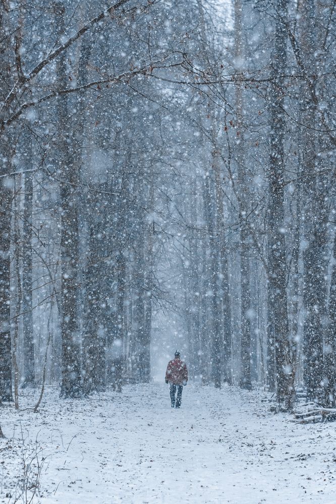 Photograph by Yulia Ivanova