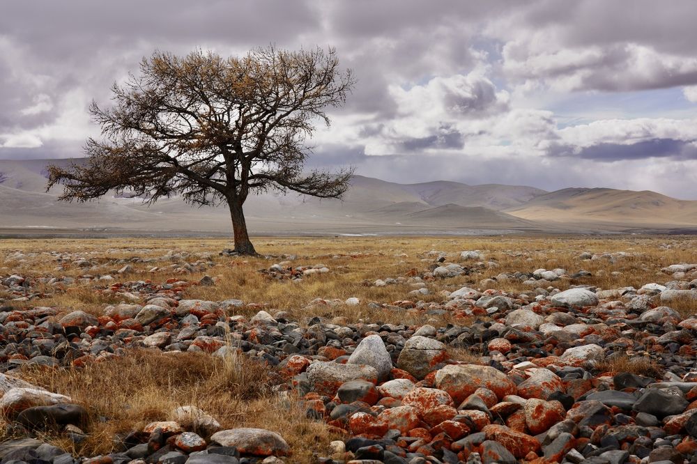 Photograph by Андрей Кузнецов