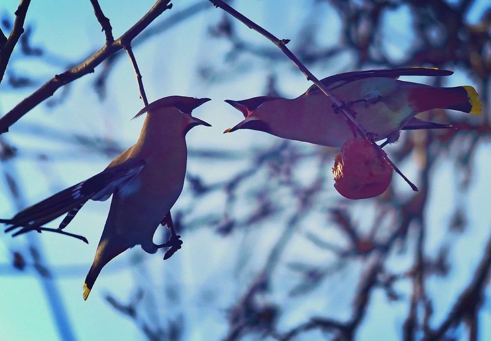 Photograph by Karasev Pavel