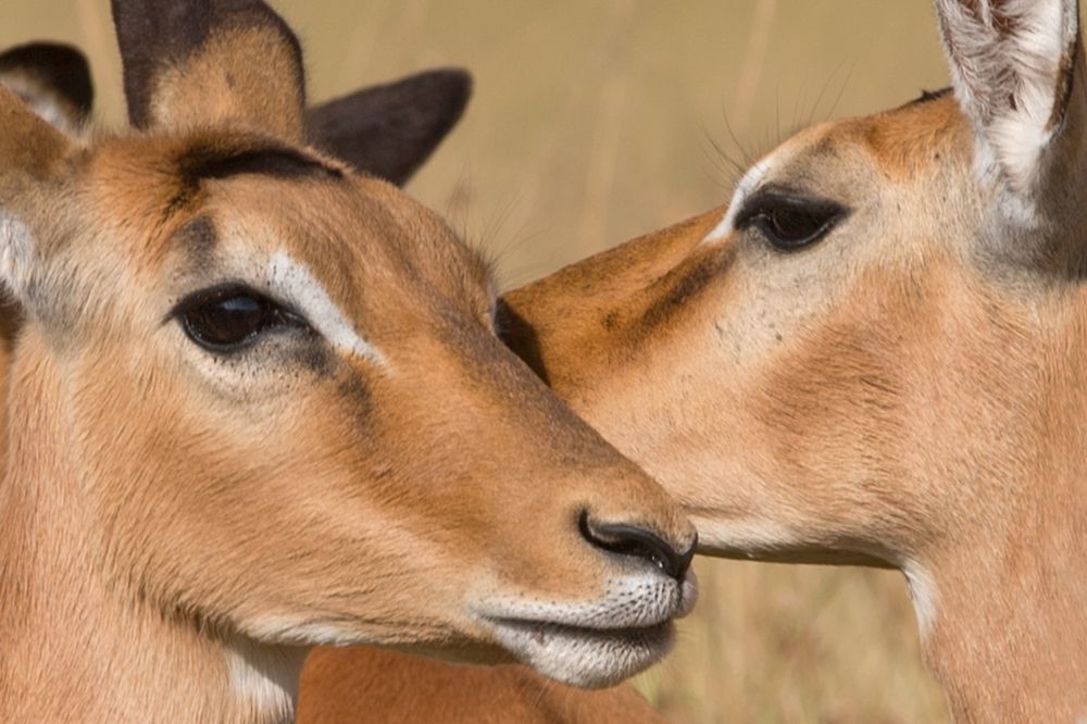 Photograph by Ольга Петруша