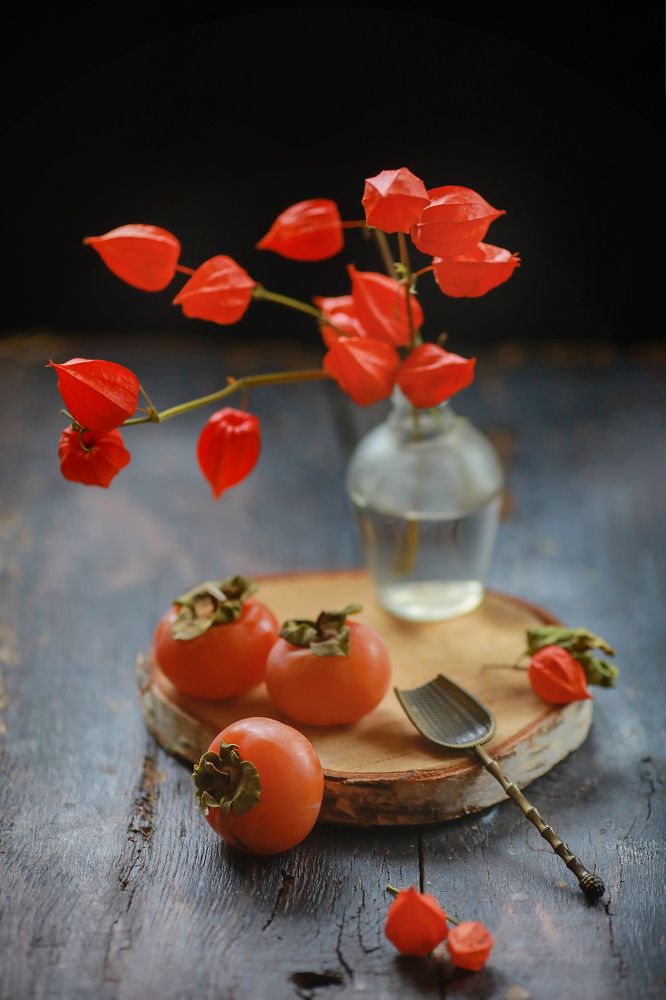 Фотография автора Евгения Грин