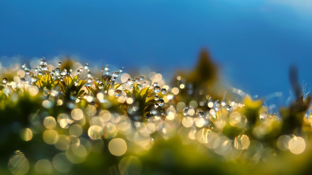 Photograph by Inna Etuvgi